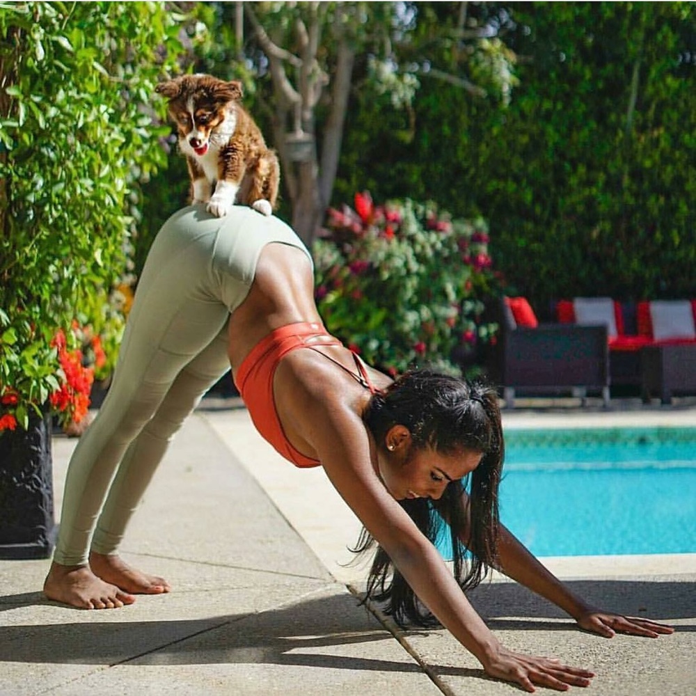 Mesh Panel Yoga Workout Legging